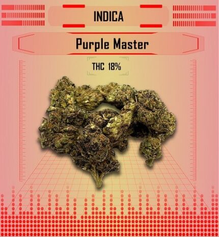 indica purple master, Happy High Medical Exotic Weed Dispensary in Bangkok, Thailand