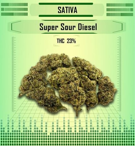 sativa super sour diesel, Happy High Medical Exotic Weed Dispensary in Bangkok, Thailand