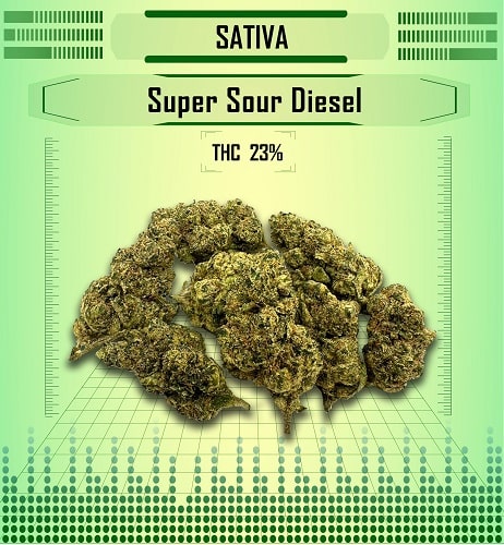 sativa super sour diesel, Happy High Medical Exotic Weed Dispensary in Bangkok, Thailand