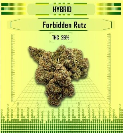 Forbidden Runtz, hybrid forbidden rutz, Happy High Medical Exotic Weed Dispensary in Bangkok, Thailand
