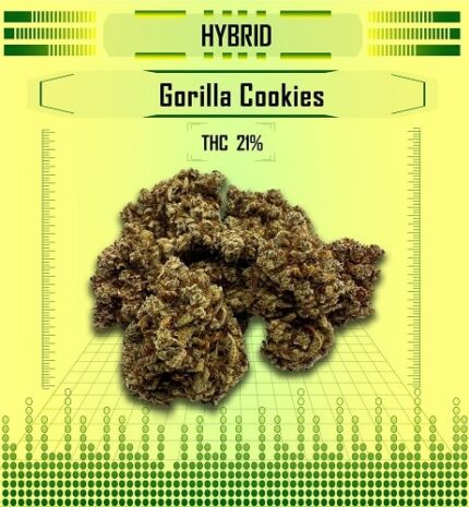 hybrid gorilla cookies, Happy High Medical Exotic Weed Dispensary in Bangkok, Thailand