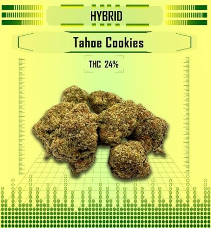 Hybrid tahoe cookies, Happy High Medical Exotic Weed Dispensary in Bangkok, Thailand