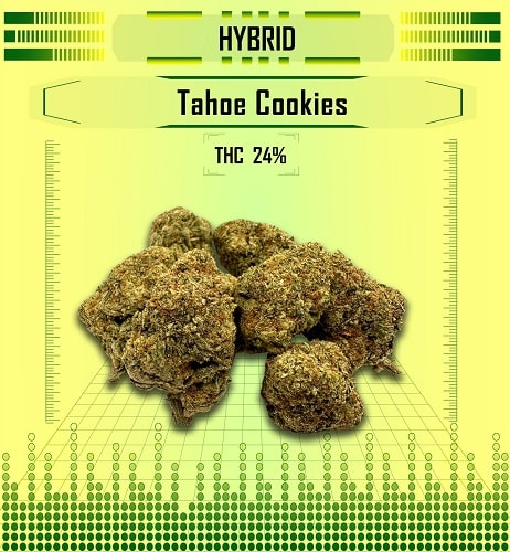 Hybrid tahoe cookies, Happy High Medical Exotic Weed Dispensary in Bangkok, Thailand