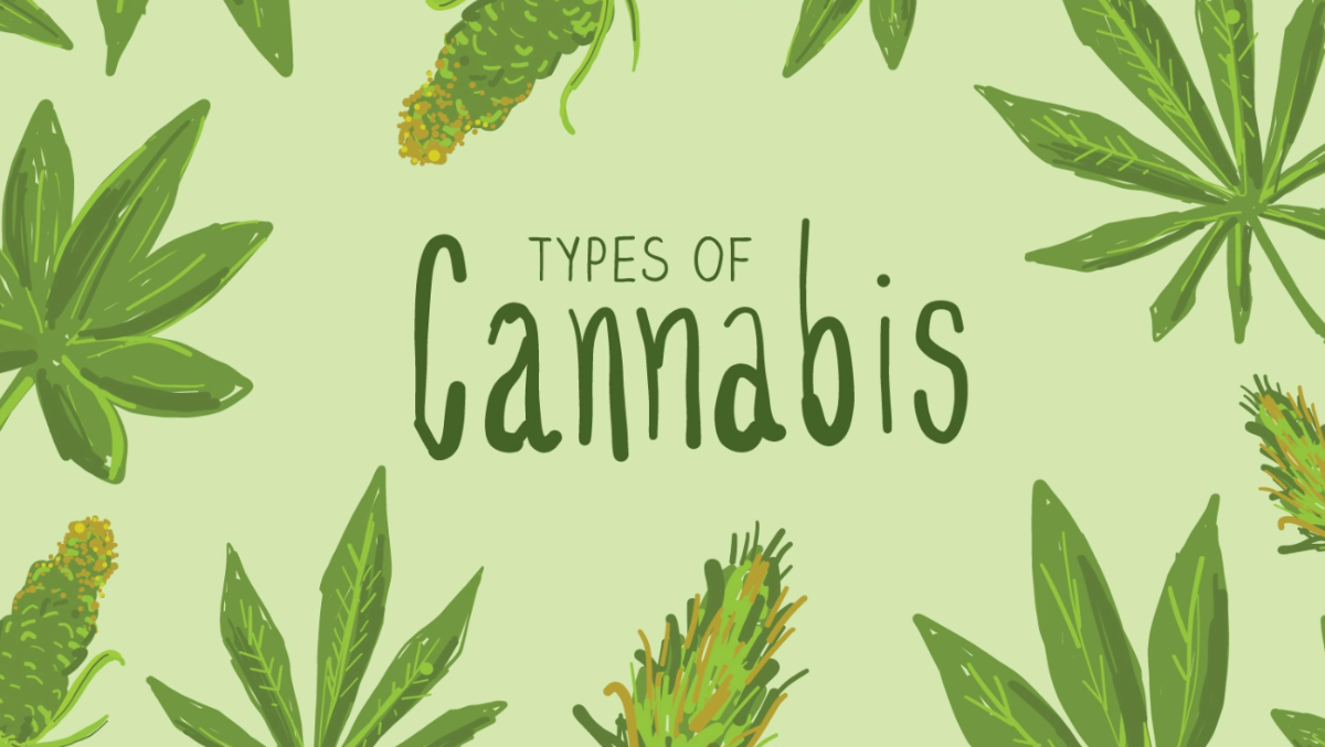 types-of-cannabis